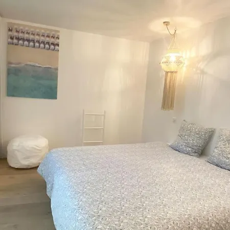 Maison En Plein Centre De Villa Cannes